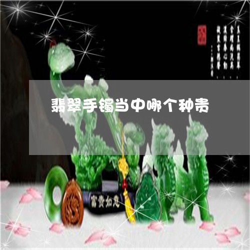 翡翠手镯当中哪个种贵/2023061050250