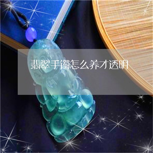 翡翠手镯怎么养才透明/2023061091707