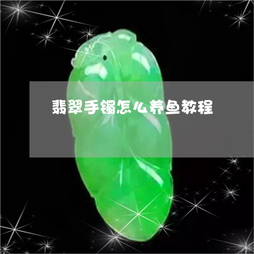 翡翠手镯怎么养鱼教程/2023061005947 翡翠手镯怎么养鱼教程/2023061005947