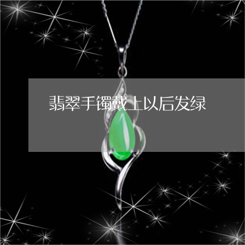 翡翠手镯戴上以后发绿/2023061072673