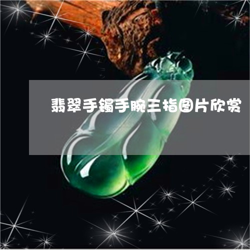 翡翠手镯手腕三指图片欣赏/2023062952793