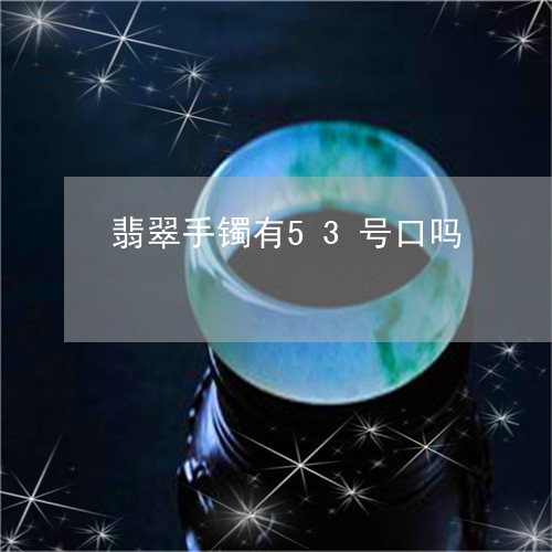 翡翠手镯有53号口吗/2023061198581 翡翠手镯有53号口吗/2023061198581