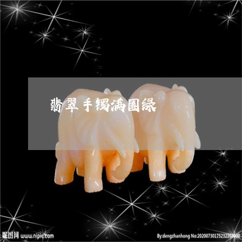 翡翠手镯满圈绿/2023032692607