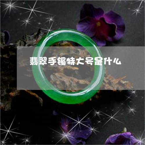 翡翠手镯特大号是什么/2023061051403
