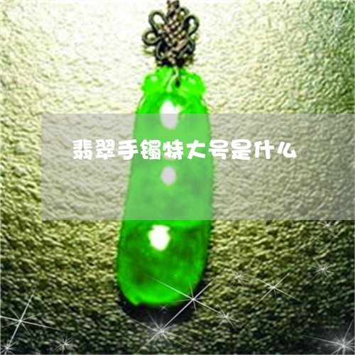 翡翠手镯特大号是什么/2023061060362