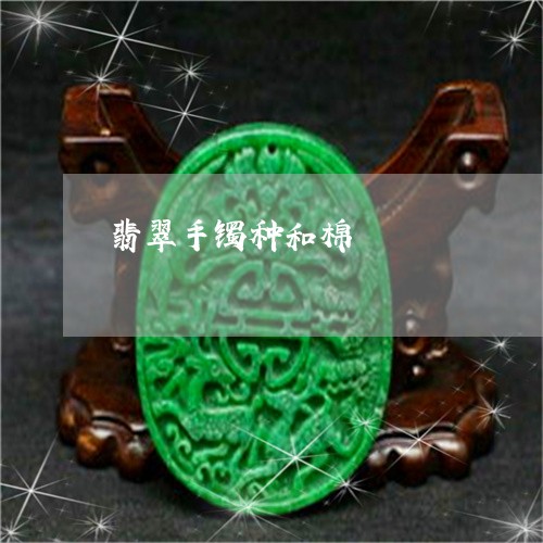 翡翠手镯种和棉/2023032505846
