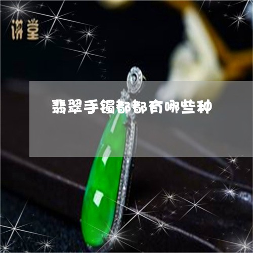 翡翠手镯都都有哪些种/2023061139269 翡翠手镯都都有哪些种/2023061139269