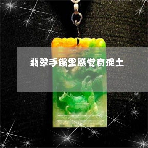 翡翠手镯里感觉有泥土/2023061139271