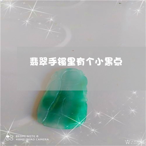 翡翠手镯里有个小黑点/2023061137382