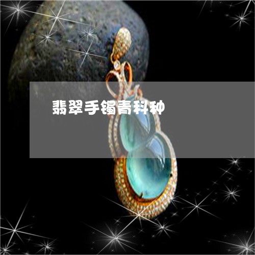 翡翠手镯青科种/2023032673961