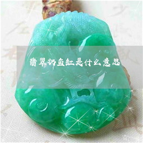 翡翠扔鱼缸是什么意思/2023061047270
