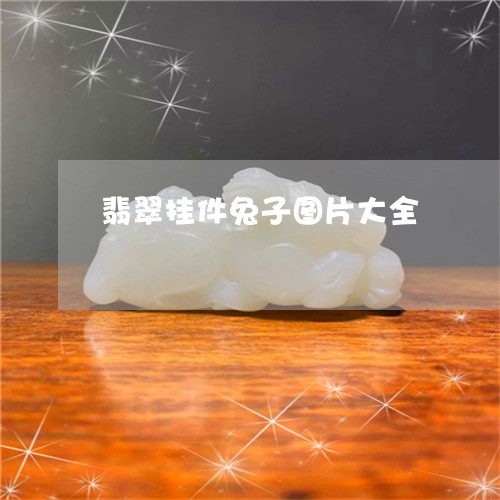 翡翠挂件兔子图片大全/2023061049483