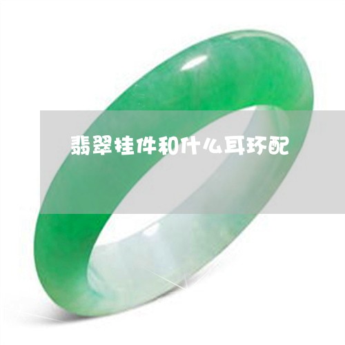 翡翠挂件和什么耳环配/2023061074824 翡翠挂件和什么耳环配/2023061074824
