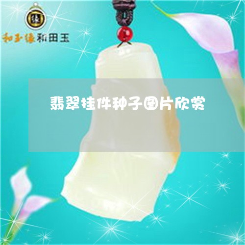 翡翠挂件种子图片欣赏 翡翠挂件种子图片欣赏