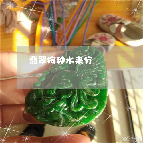 翡翠按种水来分/2023032560402 翡翠按种水来分/2023032560402