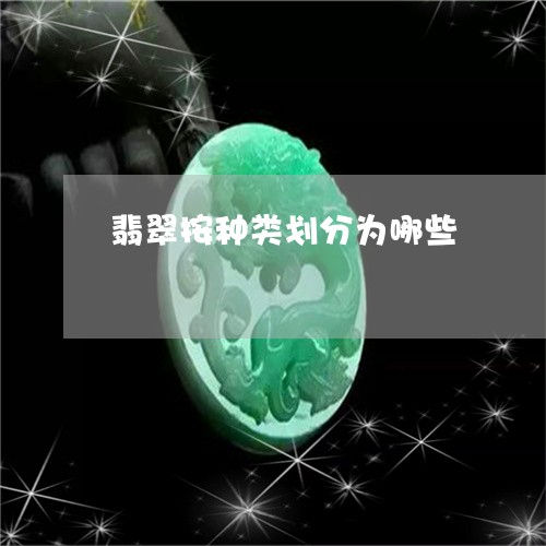 翡翠按种类划分为哪些/2023060907047