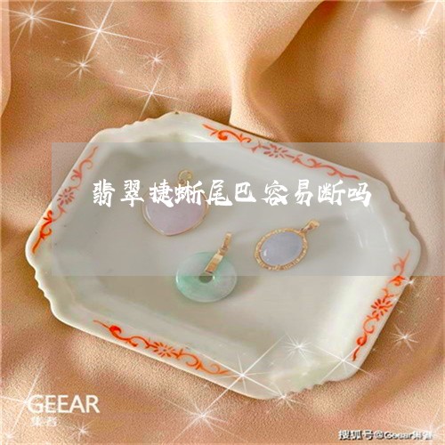 翡翠捷蜥尾巴容易断吗 翡翠捷蜥尾巴容易断吗