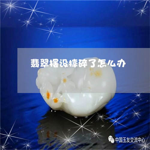 翡翠摆设摔碎了怎么办/2023060957301 翡翠摆设摔碎了怎么办/2023060957301