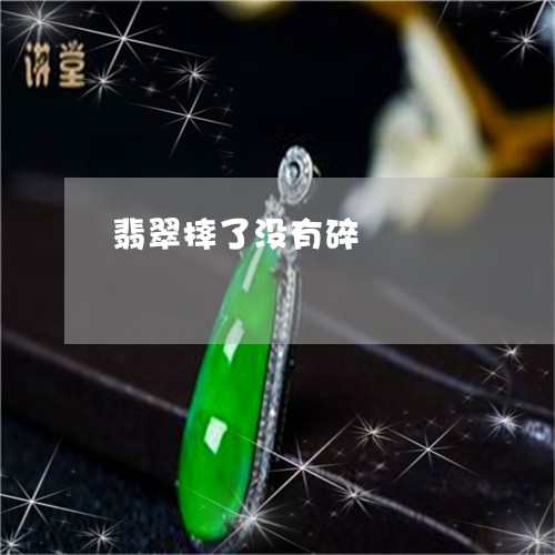 翡翠摔了没有碎/2023032528270