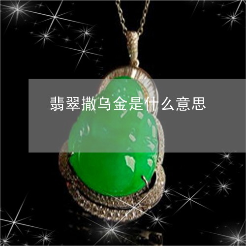 翡翠撒乌金是什么意思/2023060971605 翡翠撒乌金是什么意思/2023060971605