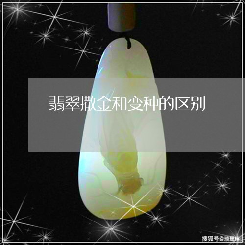 翡翠撒金和变种的区别/2023060949370 翡翠撒金和变种的区别/2023060949370