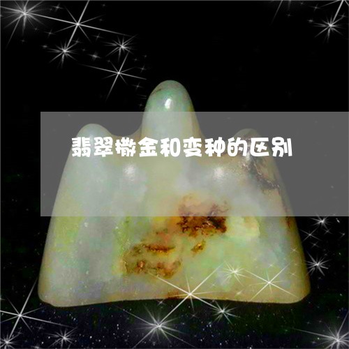 翡翠撒金和变种的区别/2023060951593 翡翠撒金和变种的区别/2023060951593