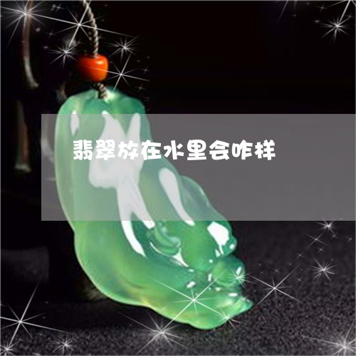 翡翠放在水里会咋样/2023021214929