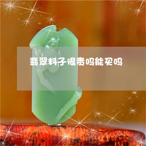 翡翠料子很贵吗能买吗 翡翠料子很贵吗能买吗