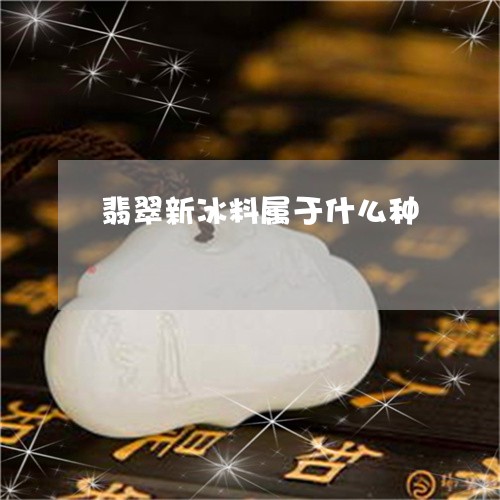 翡翠新冰料属于什么种