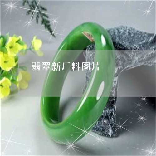 翡翠新厂料图片/2023032527037 翡翠新厂料图片/2023032527037