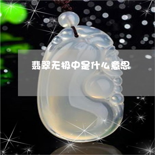 翡翠无极中是什么意思/2023060949412