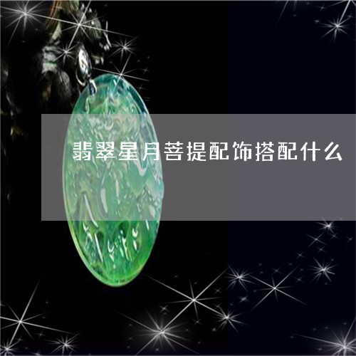 翡翠星月菩提配饰搭配什么/2023071105938