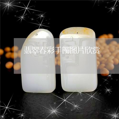 翡翠春彩手镯图片欣赏/2023060914947 翡翠春彩手镯图片欣赏/2023060914947