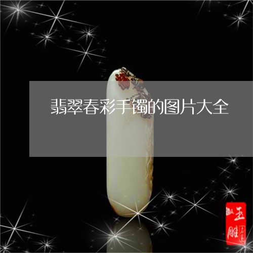 翡翠春彩手镯的图片大全/2023070837272