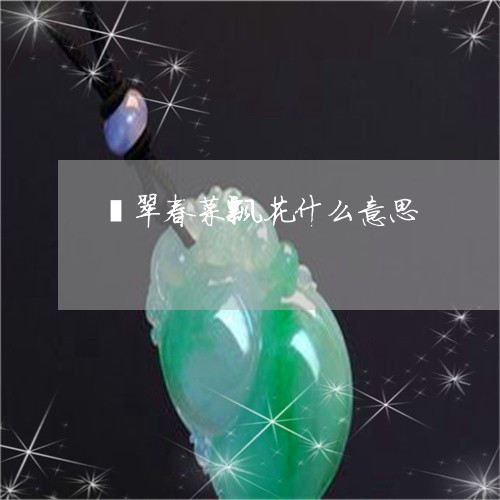 翡翠春菜飘花什么意思/2023060957269 翡翠春菜飘花什么意思/2023060957269