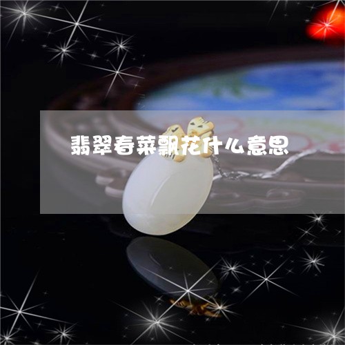 翡翠春菜飘花什么意思/2023060994716 翡翠春菜飘花什么意思/2023060994716