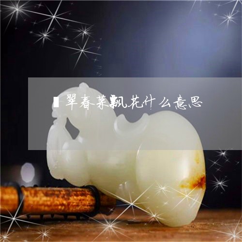 翡翠春菜飘花什么意思/2023060994905 翡翠春菜飘花什么意思/2023060994905