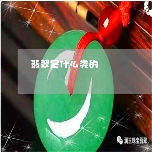 翡翠是什么类的/2023032573925