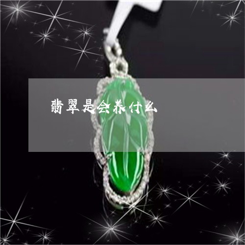 翡翠是会养什么/2023032538361