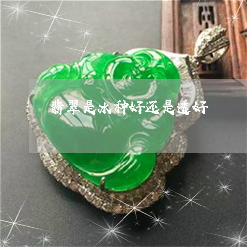 翡翠是冰种好还是透好
