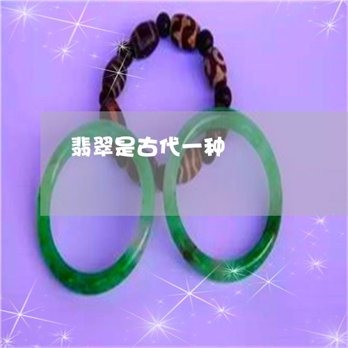 翡翠是古代一种/2023032523914