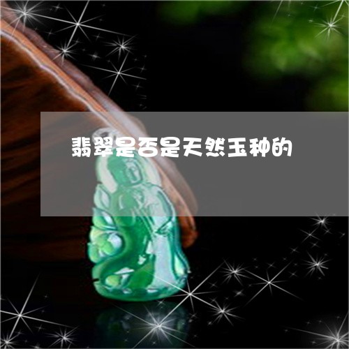 翡翠是否是天然玉种的 翡翠是否是天然玉种的