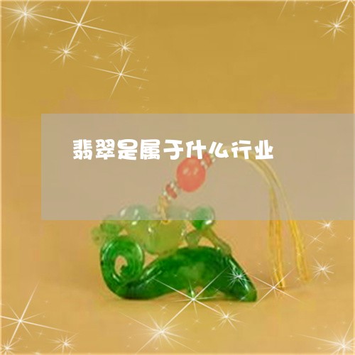 翡翠是属于什么行业/2023021108293 翡翠是属于什么行业/2023021108293