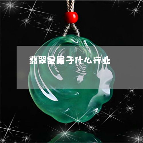 翡翠是属于什么行业/2023021162492 翡翠是属于什么行业/2023021162492