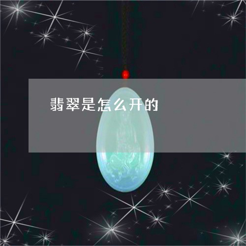翡翠是怎么开的/2023032513938