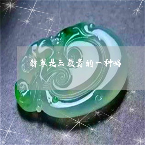 翡翠是玉最贵的一种吗/2023060914846 翡翠是玉最贵的一种吗/2023060914846