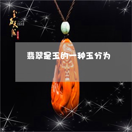 翡翠是玉的一种玉分为