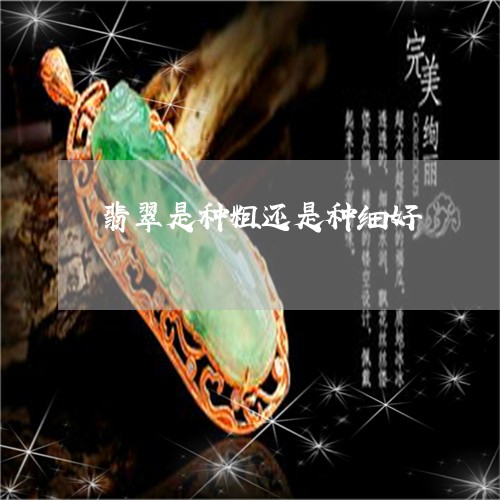 翡翠是种粗还是种细好/2023060938394