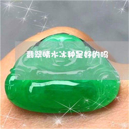 翡翠晴水冰种是好的吗