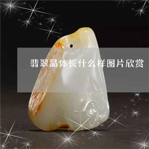 翡翠晶体长什么样图片欣赏/2023063005838